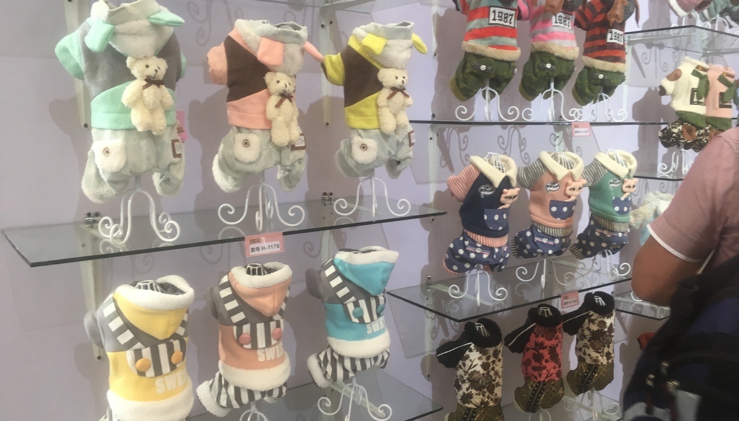 Одежда для животных